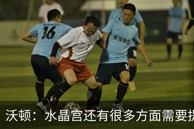 沃顿：水晶宫还有很多方面需要提升，不过我们在朝着正确方向迈进
